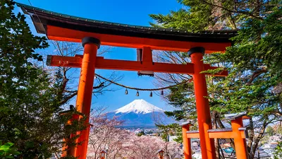 Самые красивые места японии фото фотографии