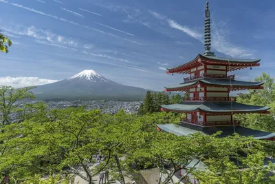 Экскурсии в Японии 2024: цены в феврале–марте, отзывы – Tripster
