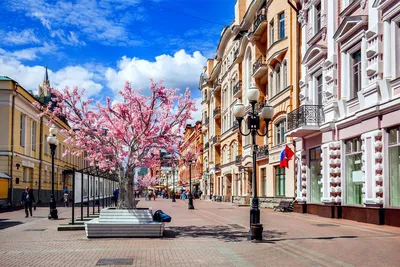 Куда сходить в Москве: 50 самых посещаемых мест столицы – «Незабываемая  Москва»