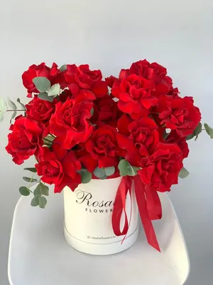 Розы необычных цветов. Купить саженцы сортов роз необычной окраски в Москве