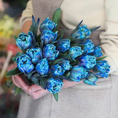 Самые красивые тюльпаны в... - Цветкофф - Розы в Бишкеке | Facebook
