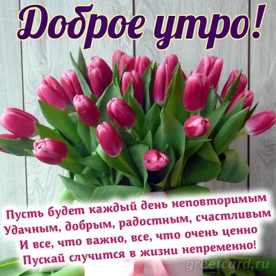 Открытки с днем рождения с тюльпанами - скачайте бесплатно на Davno.ru