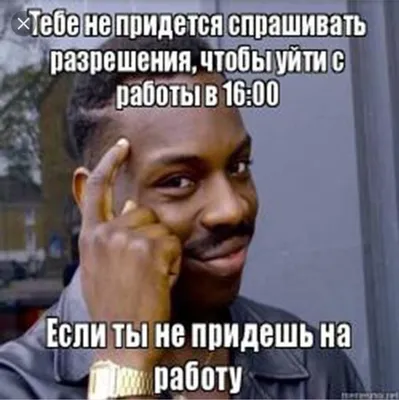 Самые смешные приколы с животными. Вы точно не ожидали! До слез. | Серый  волк | Дзен