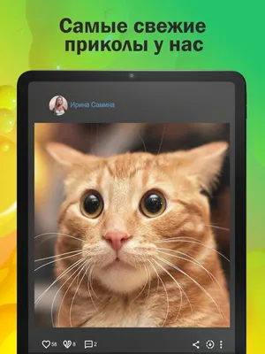 ГыГы Приколы: гифки мемы видео on the App Store