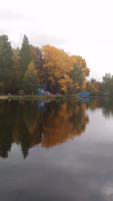 Дальняя дача, санаторий, Дехканов пруд, Кыштым Челябинской области