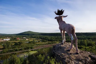 САНАТОРИЙ НИЖНИЕ СЕРГИ - отзывы, фото и сравнение цен - Tripadvisor