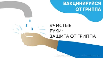 Грипп: симптомы и лечение (инфографика БелТА) – Могилевский район Новости.  Приднепровская нива. Новости Могилева и Могилевского района