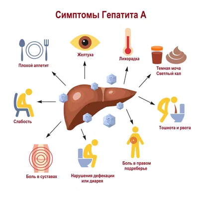 12.08.2019 г. Осторожно! Грипп!