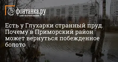 Приморский район (Санкт-Петербург). Церковь Евгении преподобномученицы при  ЖК \"Шуваловский\", фотография.