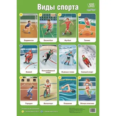 Зимние виды спорта для детей - Sport Sbor