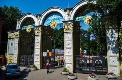 Шоу дронов в Саратове посвятили Юрию Гагарину — Регион 64