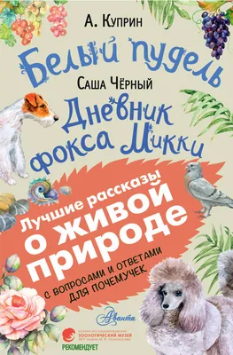 ФК «Спартак-Москва» on X: \"Александр Соболев – лучший бомбардир и ассистент  «Спартака» в 2021 году! 🔥 ⚽️ На счету нападающего 17 голов и 7 ассистов.  Так держать, Саша 🔝👏 https://t.co/eJMDOSQaVy\" / X