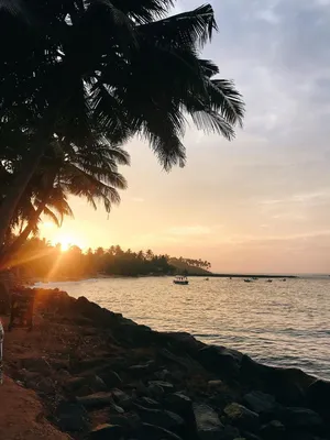 Саша Браун || Шри Ланка (@photobraun) • Instagram photos and videos