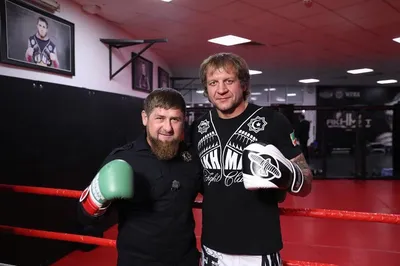 Александр Емельяненко: фото с победами в MMA и боксе | Александр Емельяненко  Фото №33606 скачать