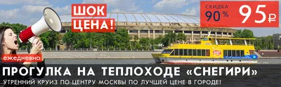 Предтренировочный комплекс Reckful 30serv купить недорого с доставкой в  Москве