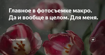 Александра Павлова: Я не мечтаю быть всемирно известной моделью и ходить по  подиуму - YakutiaMedia.ru