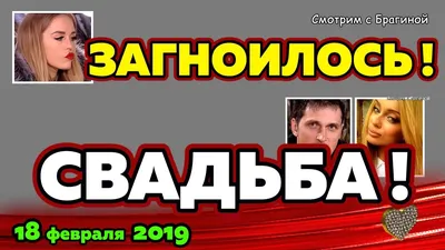 Сколько через «Дом-2» прошло эскортниц, вебок и стриптизерш - Экспресс  газета