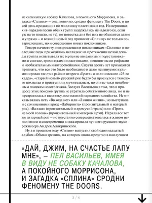 Александр Васильев - бессменный лидер группы \"Сплин\" | Время покажет | Дзен