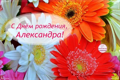 Александра! С днем Рождения! Открытка для Александры, скачать бесплатно