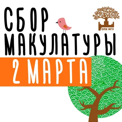 От слов к делу: студенты ИЭП приняли участие в сборе макулатуры ::  Петрозаводский государственный университет