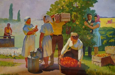 Сбор урожая винограда