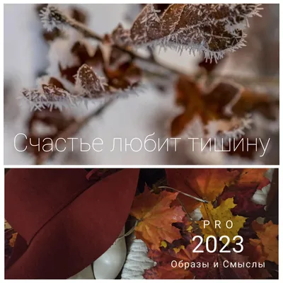 💖Счастье любит тишину💖?!!! Хотела сегодня поговорить о счастье и о том,  хорошо ли делится тем, что приносит тебе счастье, с… | Instagram