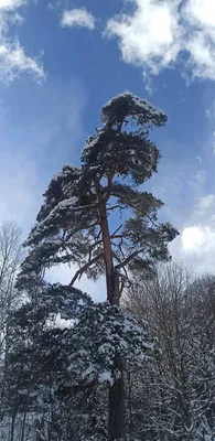 Учусь рисовать с умом - Счастье не за горами - Оно в горах! Говорит во мне  голос исследователя и искателя приключений :)) Когда-нибудь я пойду в  большой поход, а пока однодневные ночевки