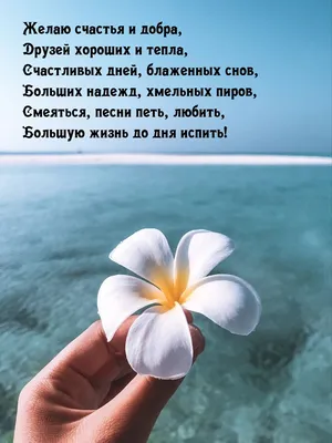 Самые красивые картинки для друзей, фото | Дніпровська панорама