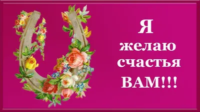 Проститутка. Счастья тебе не видать»: Брухунова — о поступающих оскорблениях