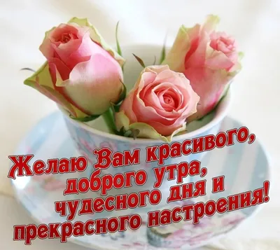 Счастливого дня, счастливого дня, счастливого дня. Стоковое Фото -  изображение насчитывающей жизнь, мягкосердечие: 161028426