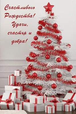 Рождество в Польше, Польша, рождество, Счастливого Рождества фон картинки и  Фото для бесплатной загрузки