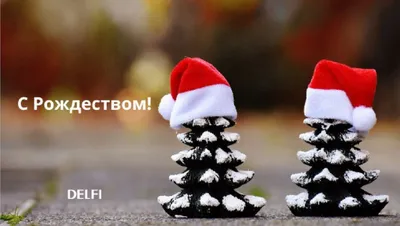 Пакет подарочный 31х12х44 см, Счастливого Рождества, Y4-3360 в Москве:  цены, фото, отзывы - купить в интернет-магазине Порядок.ру