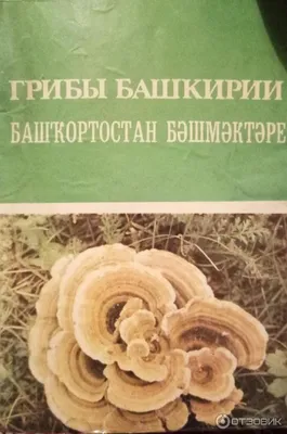 Отзыв о Книга \"Грибы Башкирии\" - С.Н.Янтурин | Что-то вроде компактной  грибной энциклопедии.