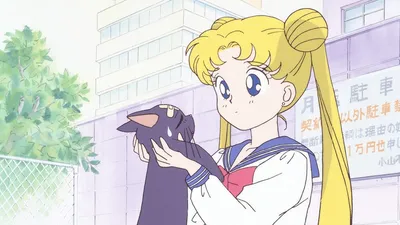 Sailor Moon | Near Pure Good Hero Wiki | Fandom