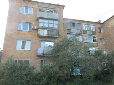Продам дом Бориспольский район, с. Старое, ул. Среблянская, 75 - 15500 грн,  купить на ИЗИ (20812296)