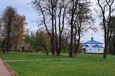 Продам дом Бориспольский район, с. Старое, ул. Среблянская, 75 - 15500 грн,  купить на ИЗИ (20812296)