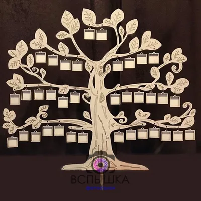 Фамильное древо: как узнать и сделать фамильное древо семьи, где заказать,  виды фимильных деревьев
