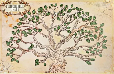 Генеалогическое древо: шаблоны и инструкция | Canva