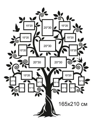 Семейное дерево раскраска шаблон - 28 фото