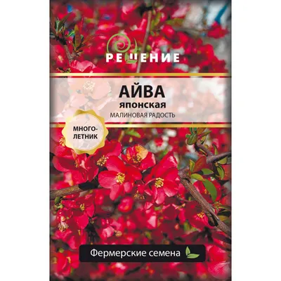 Книга Деревья, листья, цветы и семена - купить детской энциклопедии в  интернет-магазинах, цены на Мегамаркет | 978-5-17-155223-7