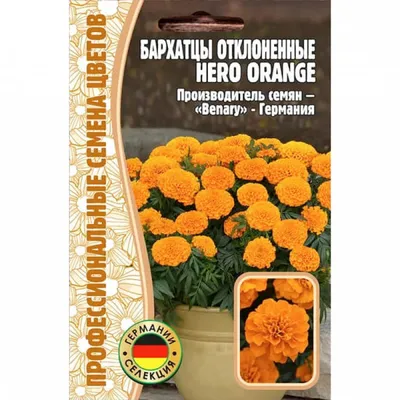 Семена Цветов Бархатцы отклоненные HERO ORANGE, купить