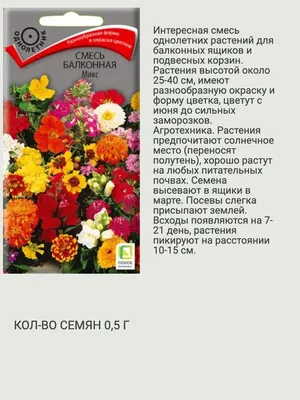 Весенний Сад Цветы И Семена Цветов На Старом Деревянном Столе — стоковые  фотографии и другие картинки Пакет семян - iStock