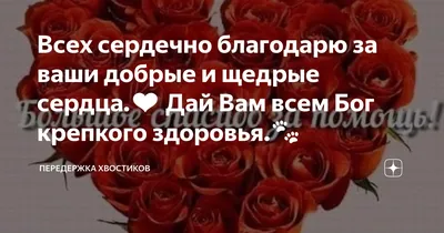 Сердечно благодарю Вас за оказанную в трудную минуту помощь и содействие,  выражаю Вам свое уважение и признательность за неравнодушие и… | Instagram