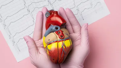 Деревянная брошь «Анатомическое сердце» для врачей от August Wood