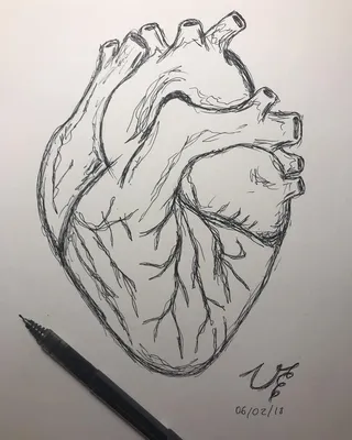 Сердечко рисунок карандашом - 50 фото