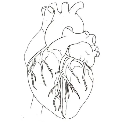 Пин от пользователя Astrid Espino на доске Tattoo ideas | Рисунок сердца  карандашом, Сердце эскиз, Рисовать