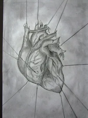 Рисунки карандашом, сердце, черно белый, графика | Рисунки сердца, Рисунки,  Рисунок сердца карандашом