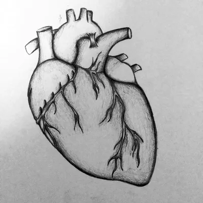 Тату эскиз,Сердце 💓 рисунок …» — создано в Шедевруме