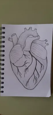 Сердце. Рисунок карандашом | Артбуки, Художественные узоры, Рисунки фигур