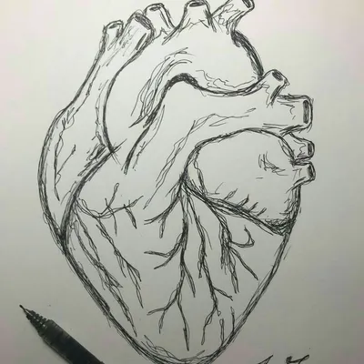 Сердце рисунок ручкой - 72 фото